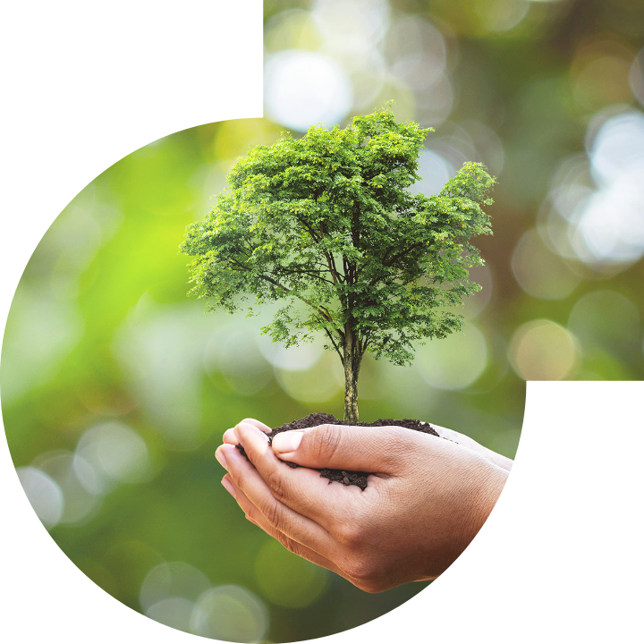 关怀人类、文化、环境与社会